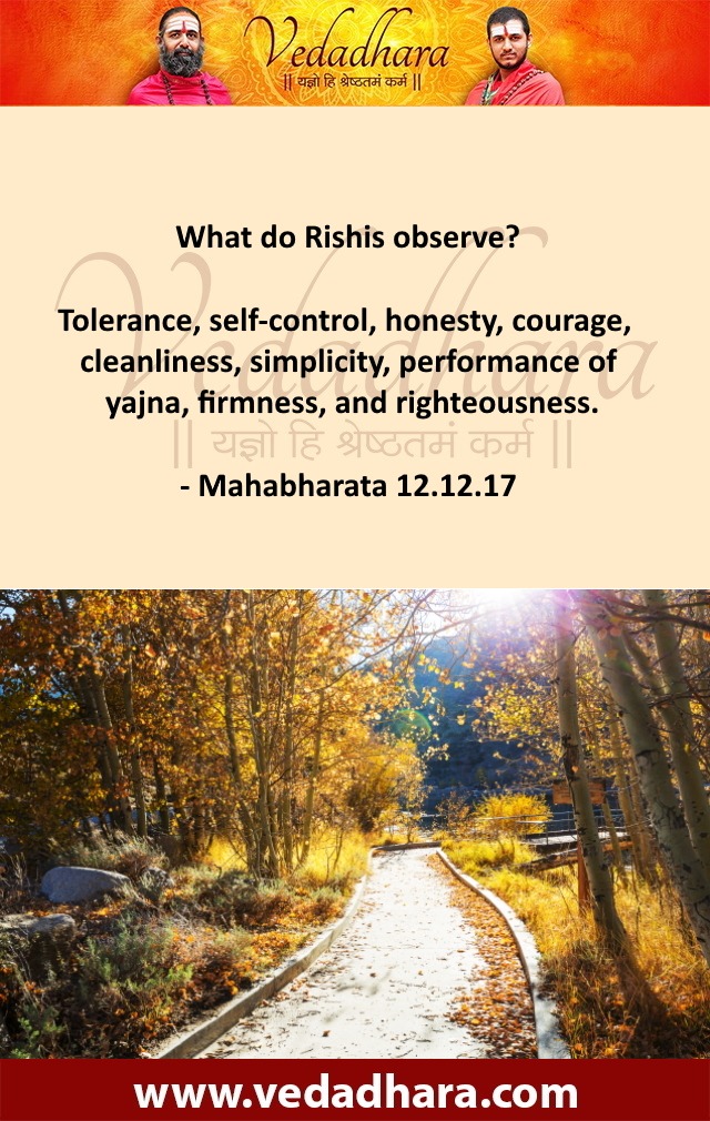 What do Rishis observe? Tolerance, self-control, honesty, courage, cleanliness, simplicity, performance of yajna, firmness, and righteousness. - Mahabharata 12.12.17